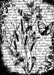 Tim Holtz - Stamps